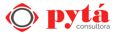 Consultora PYTA